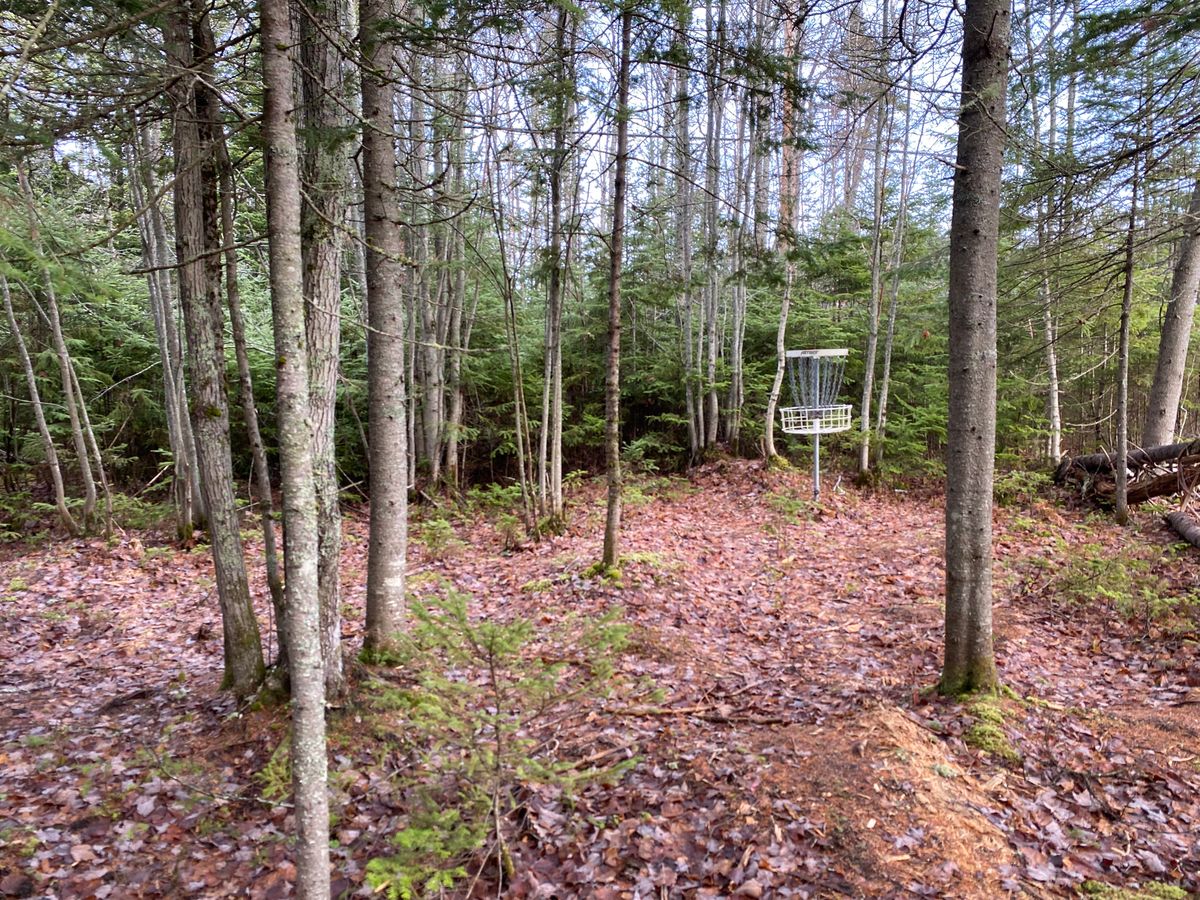 Basket for hole 5 and hole 14