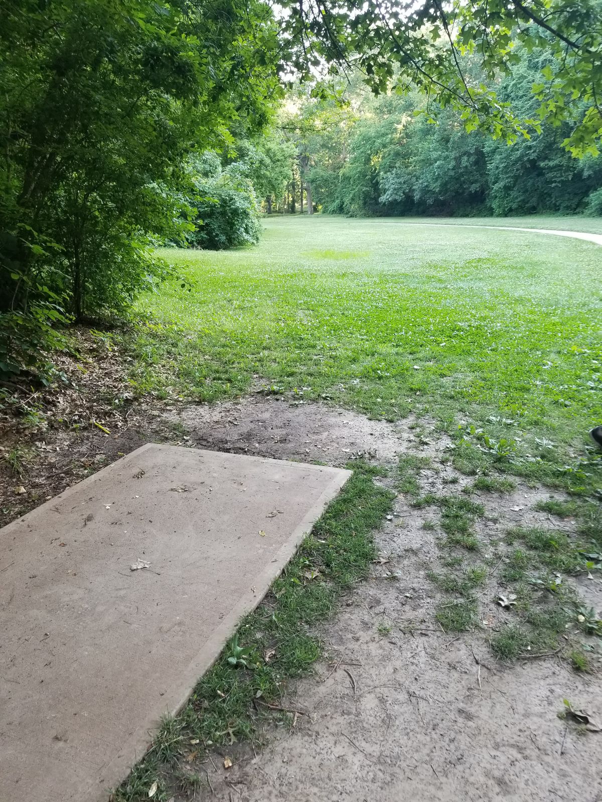 Hole 5 tee. Continuous left curve to blind basket