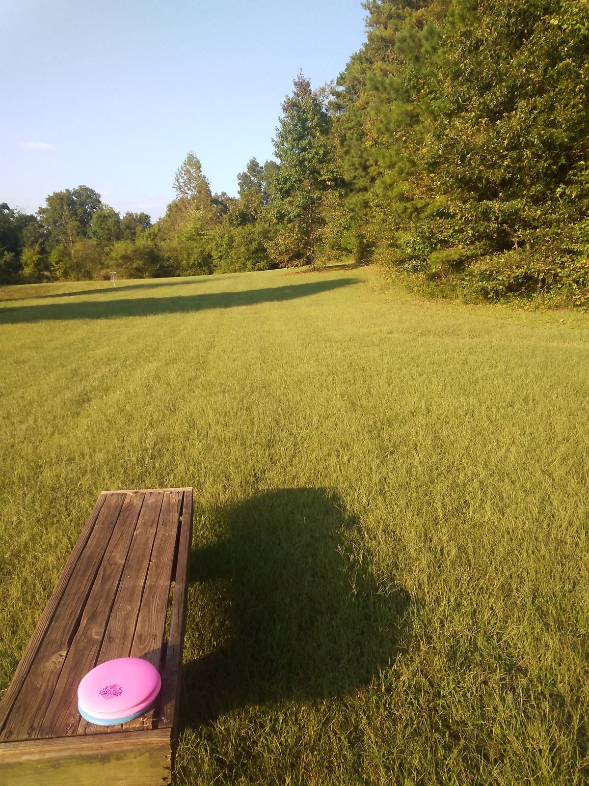 Hole 2 teepad, Mando right of tree