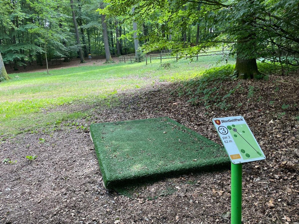 Hole 3 over a little meadow
