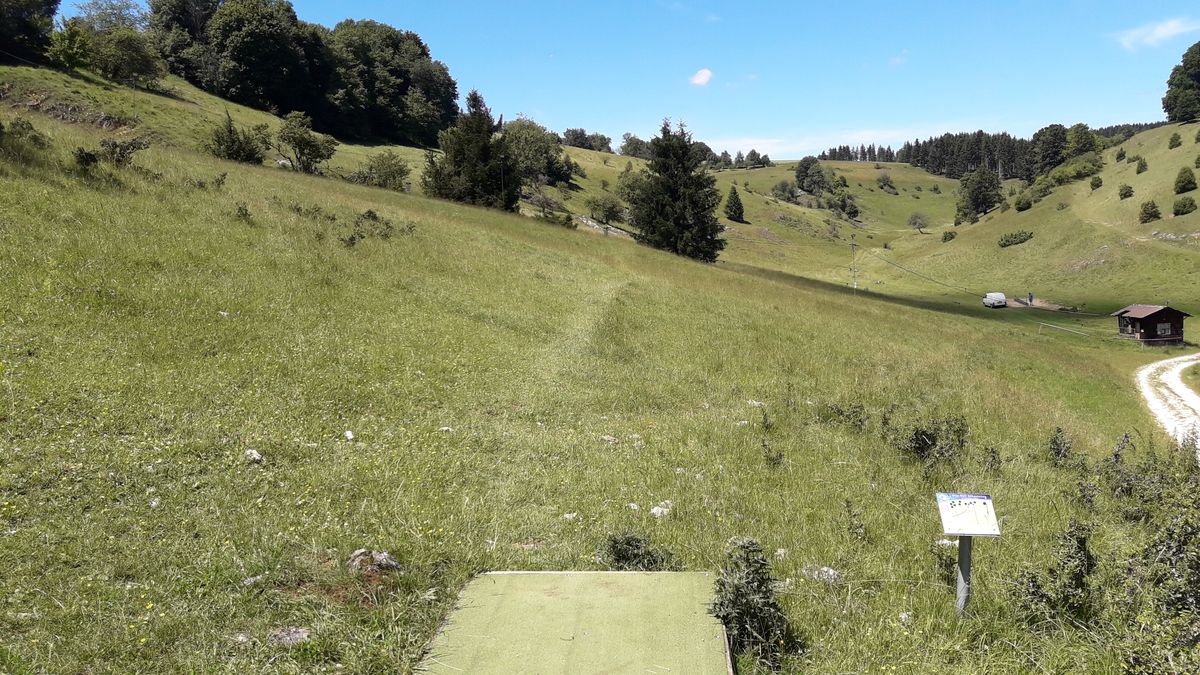 Hole 13 - along the hillside, basket is between the two large pine trees, beware of rollers at the basket, it's wickedly steep