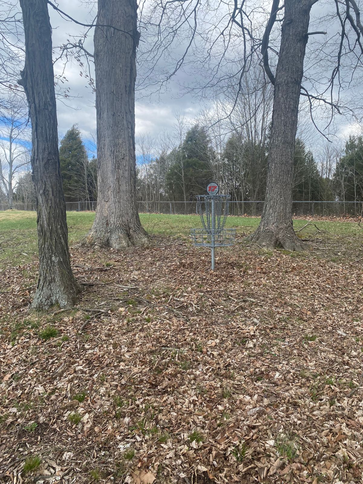 Hole 17 Basket