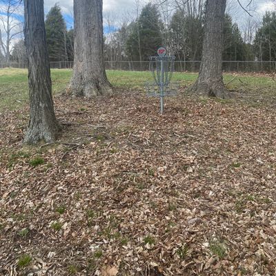 Hole 17 Basket