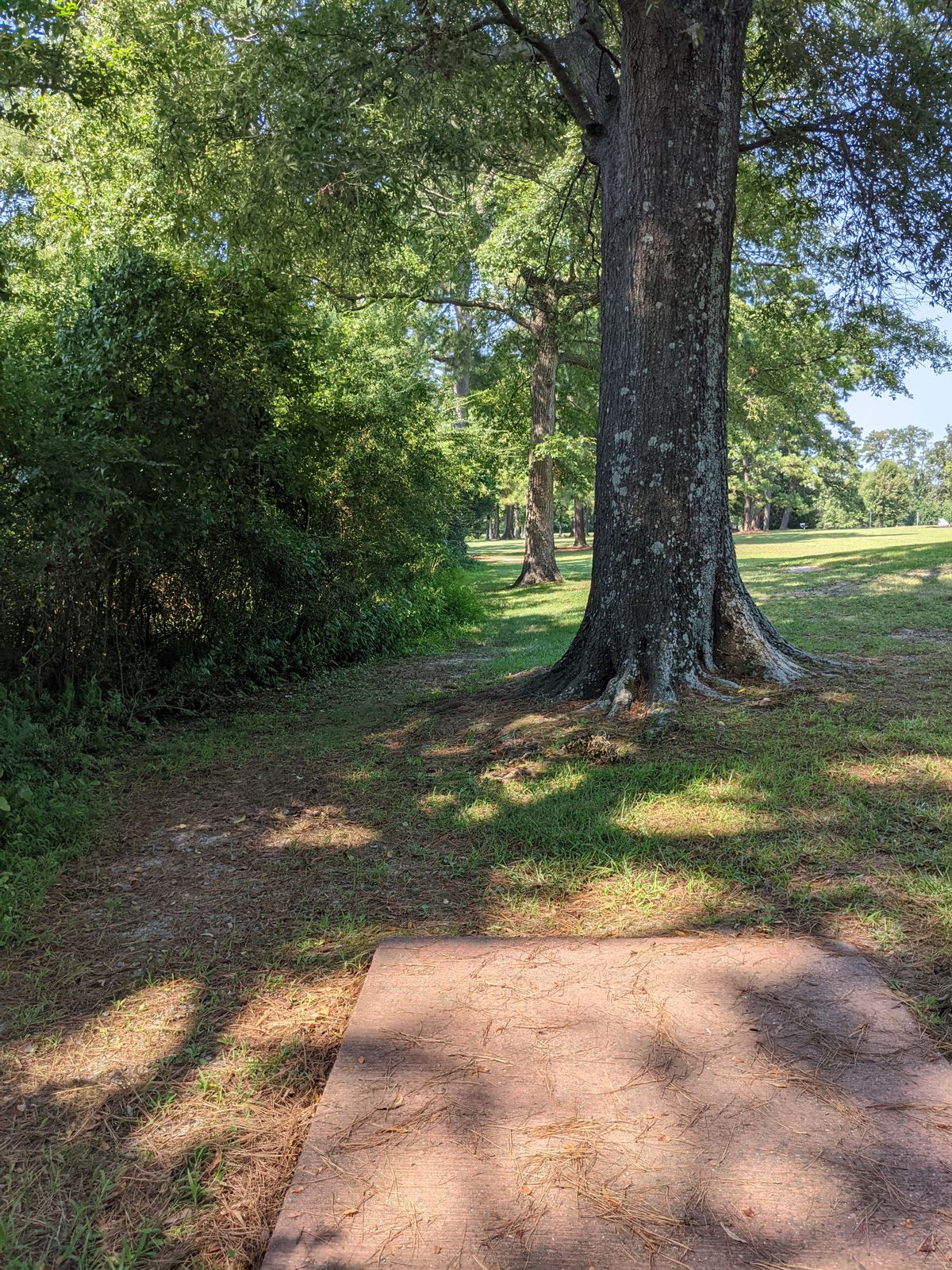 Hole ten red tee