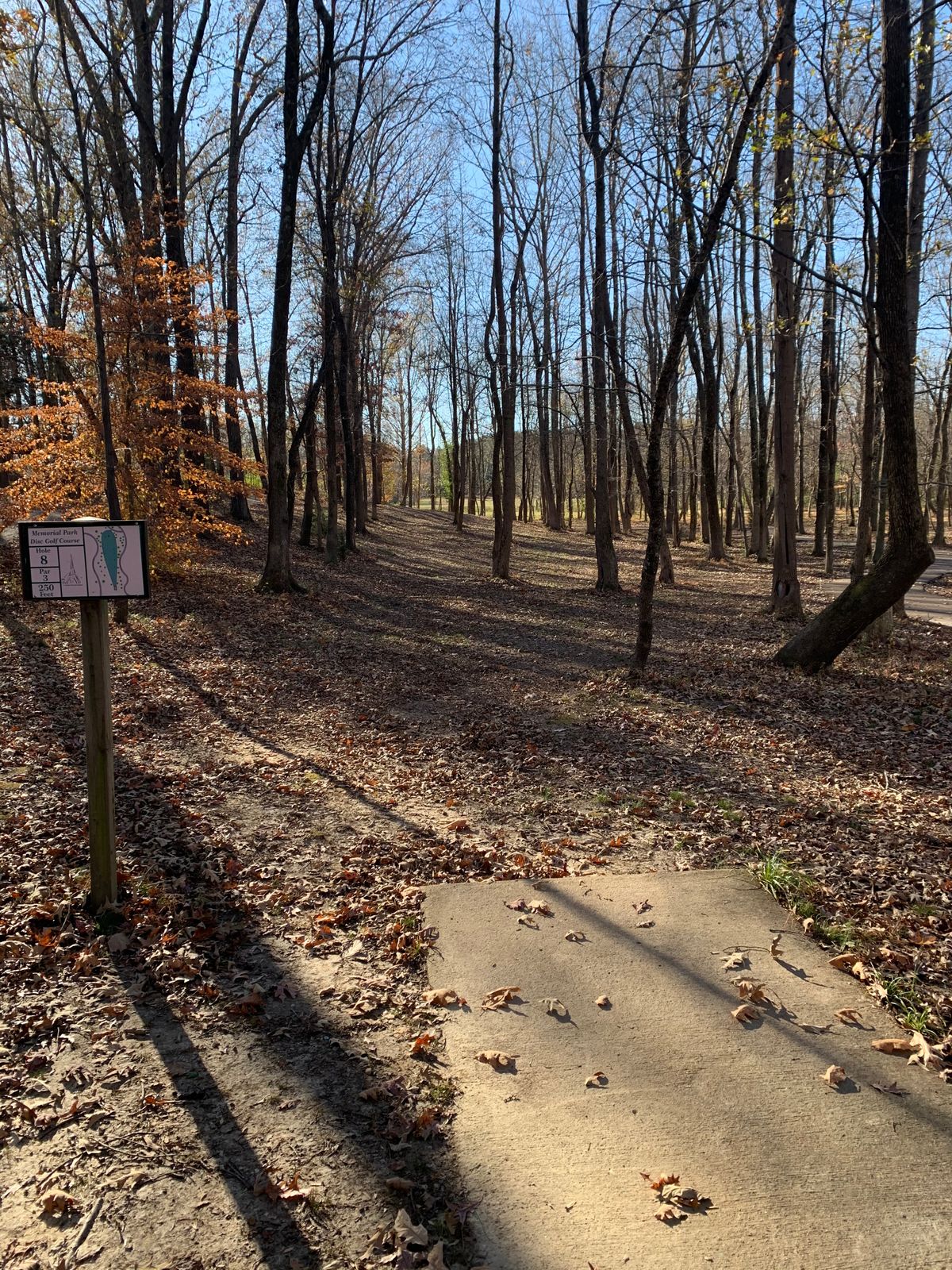 Hole 8