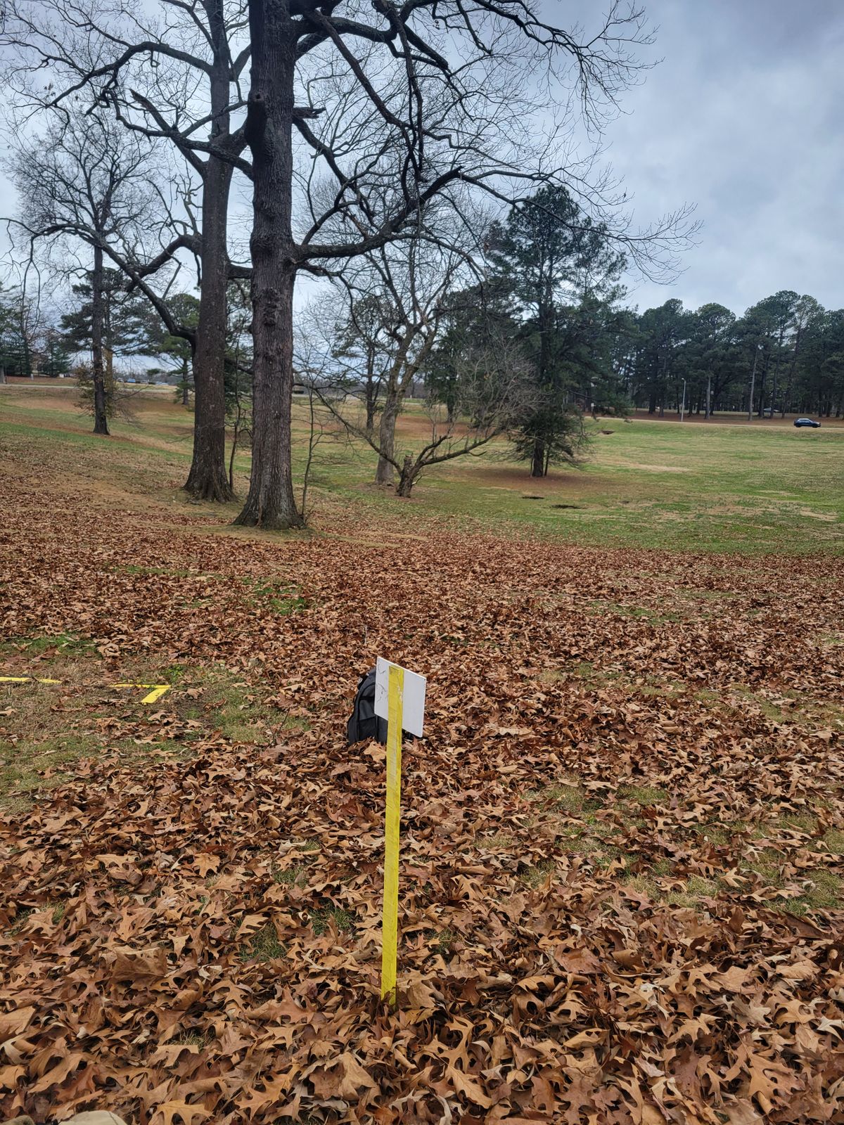Hole 8
