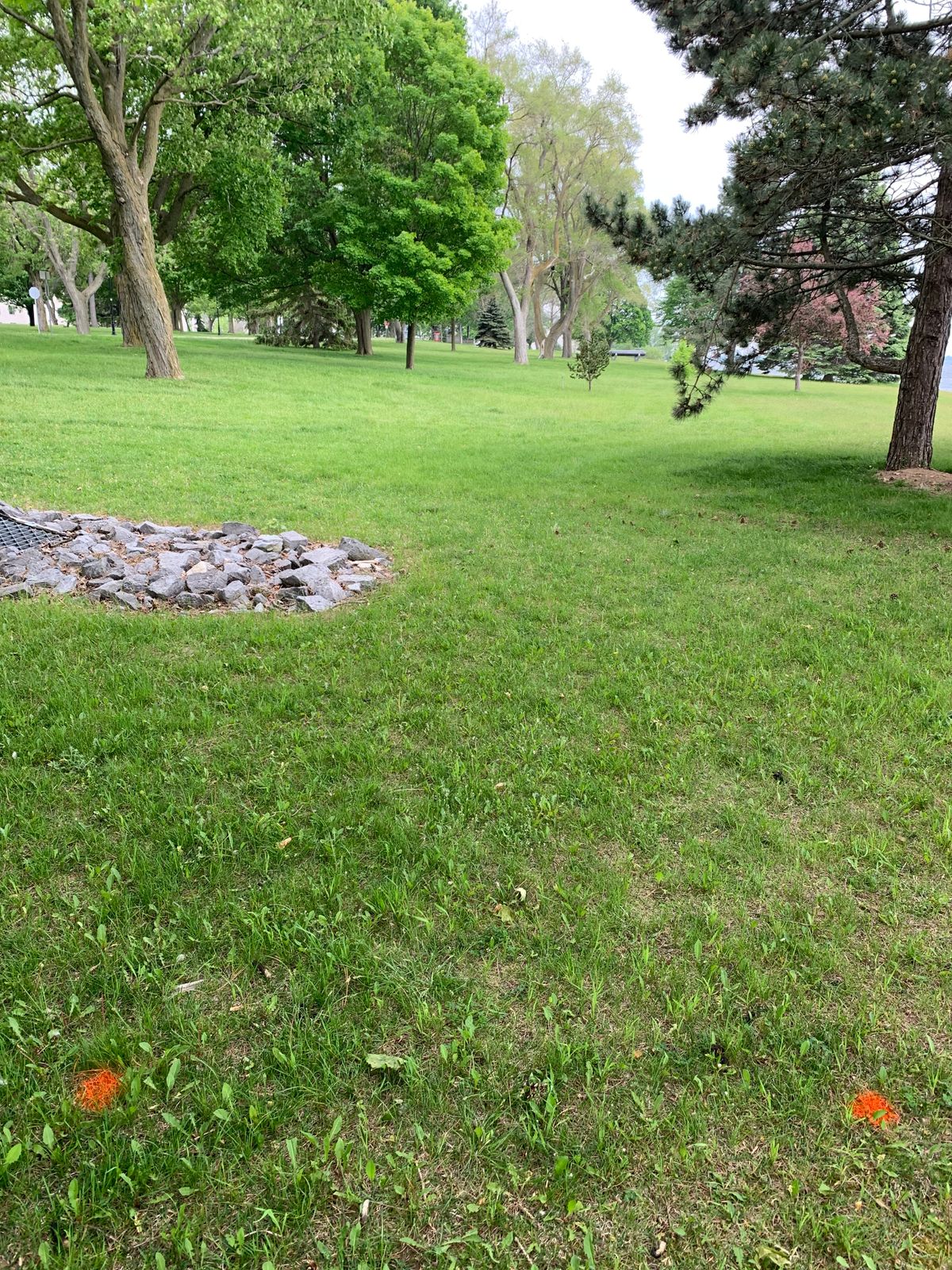 Hole 4 red tee