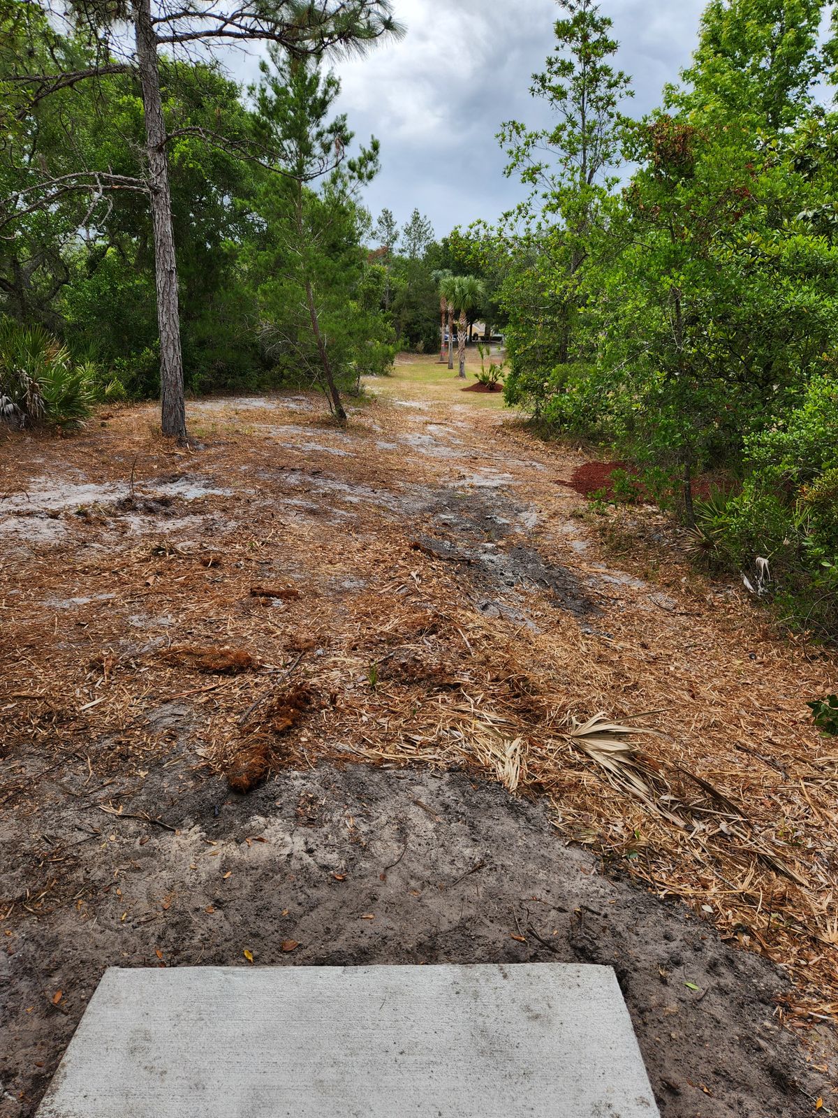 Hole 9 Long