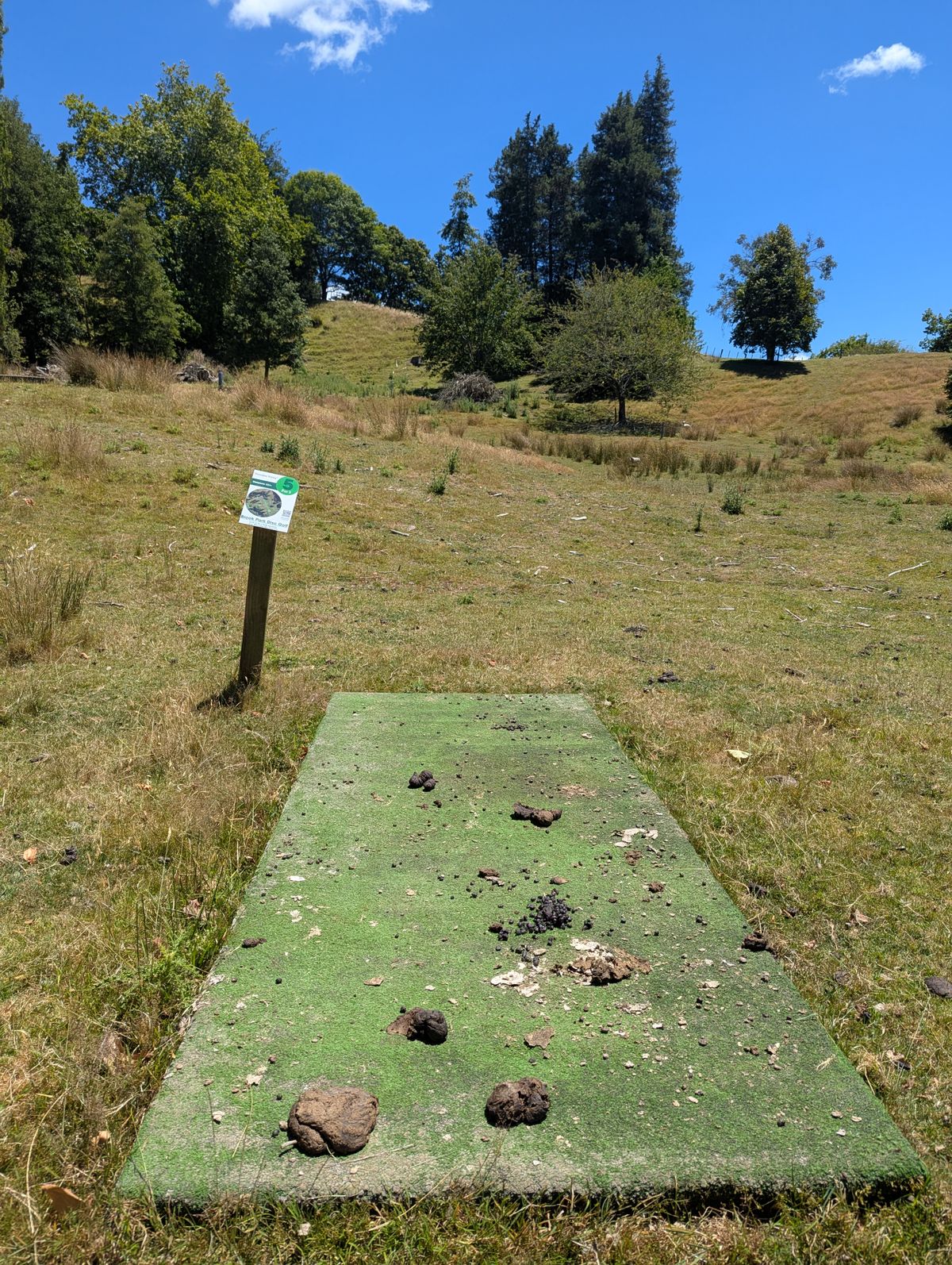 Hole 5 teepad - classic NZ! 😁