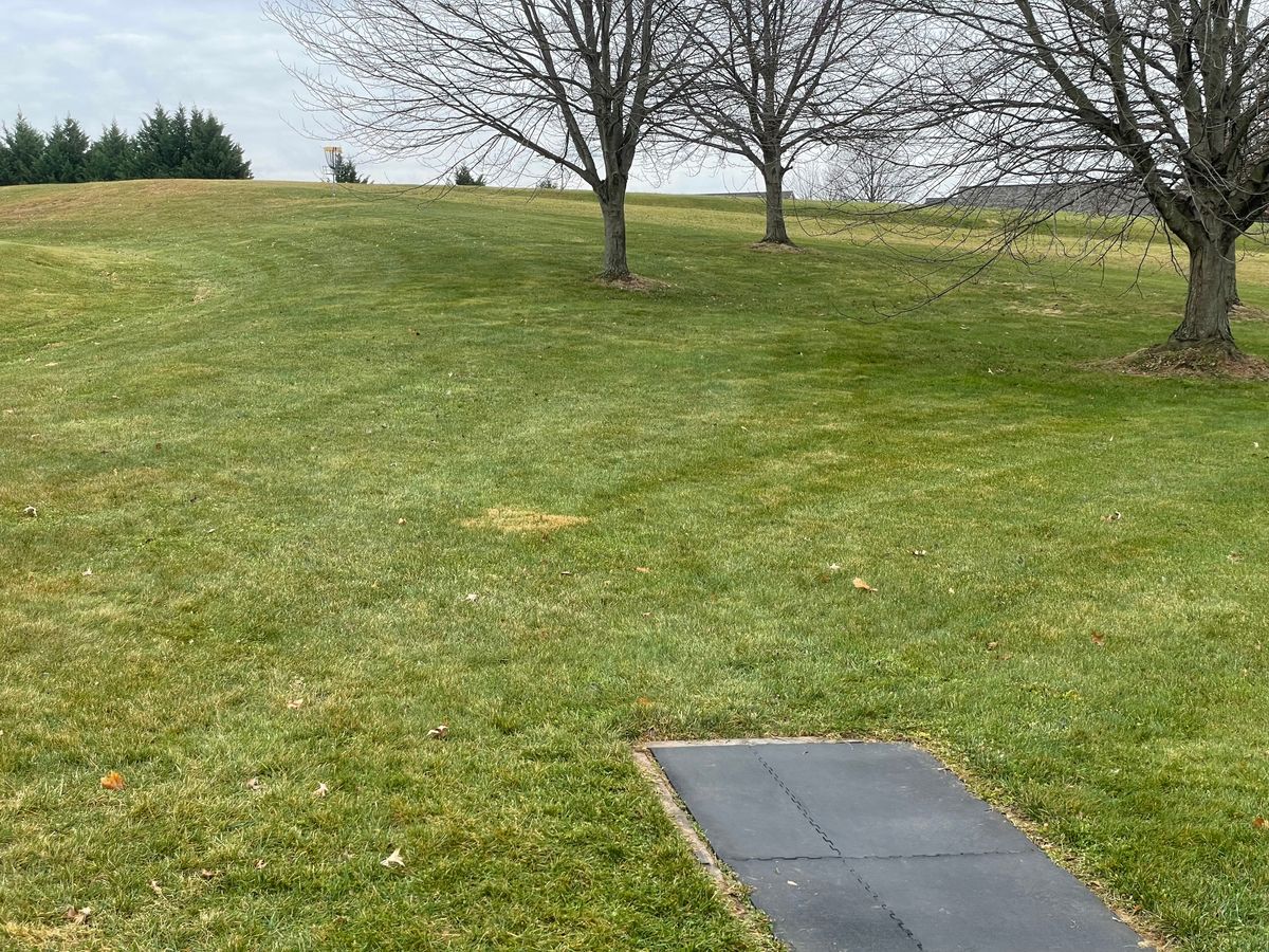 Hole 1 tee
