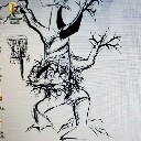 User avatar image