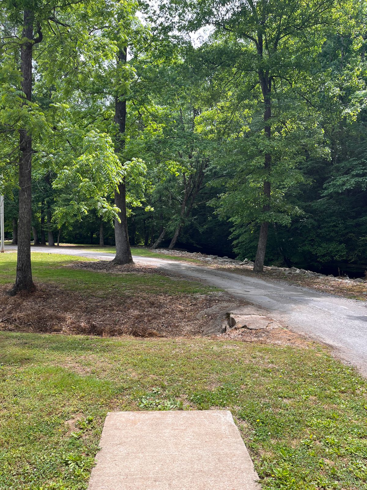Hole-12 177’ OB creek long, OB road