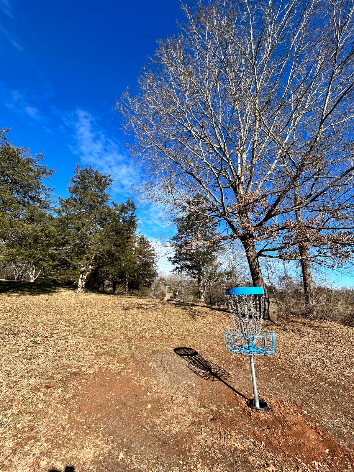 New baskets ‘23 hole 6