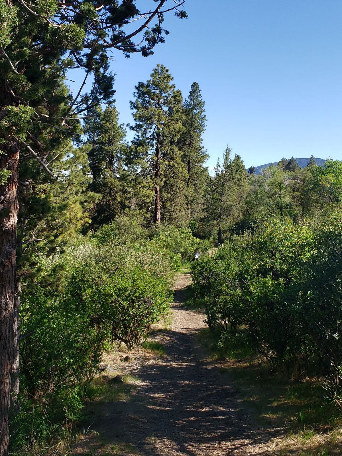 Hole 3