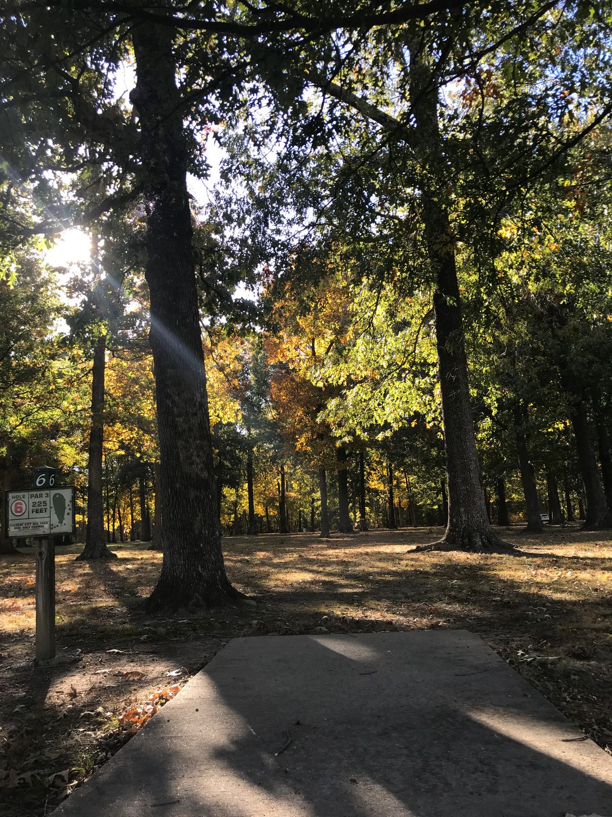 Hole 6 @ Calvert City Old Park (October 2023)