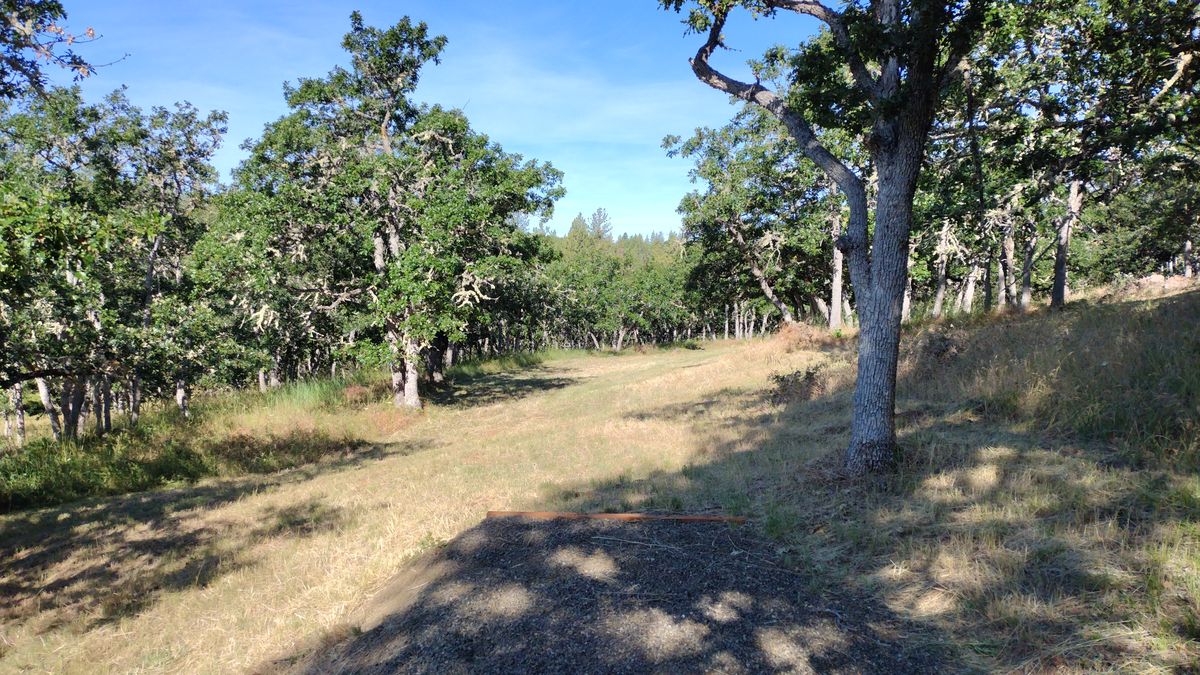 Hole 6