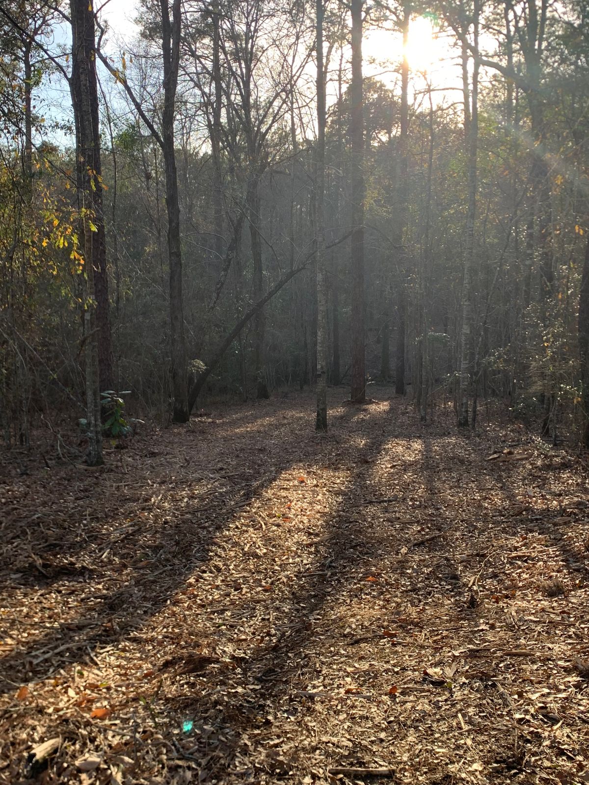 Hole 5