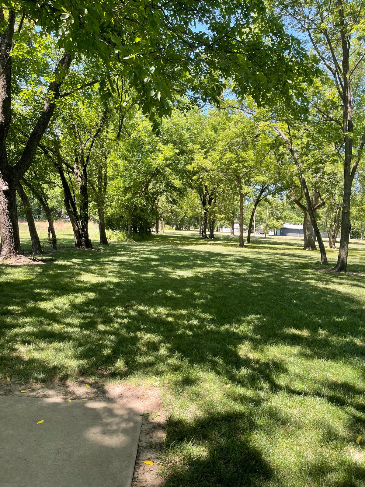 Hole 12 in line with small tree line