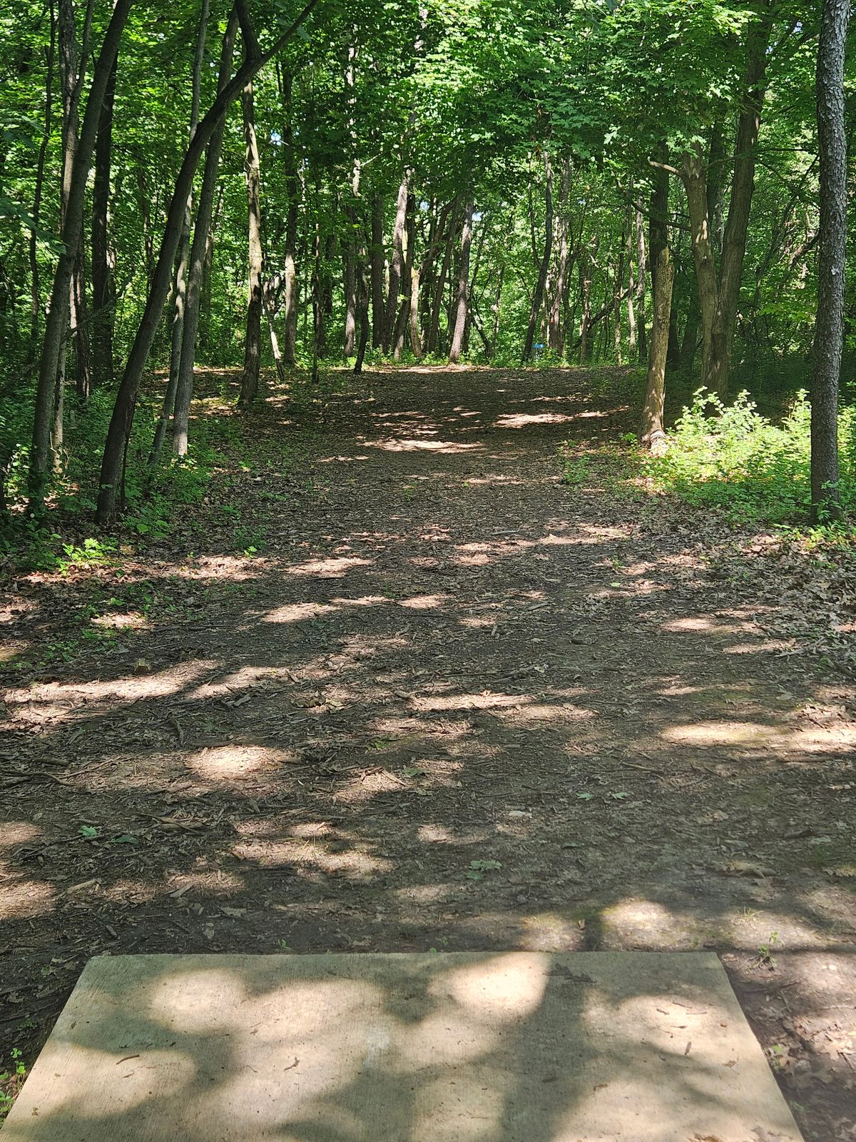 Hole 6 teepad