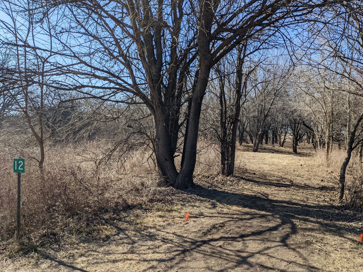 Hole #12