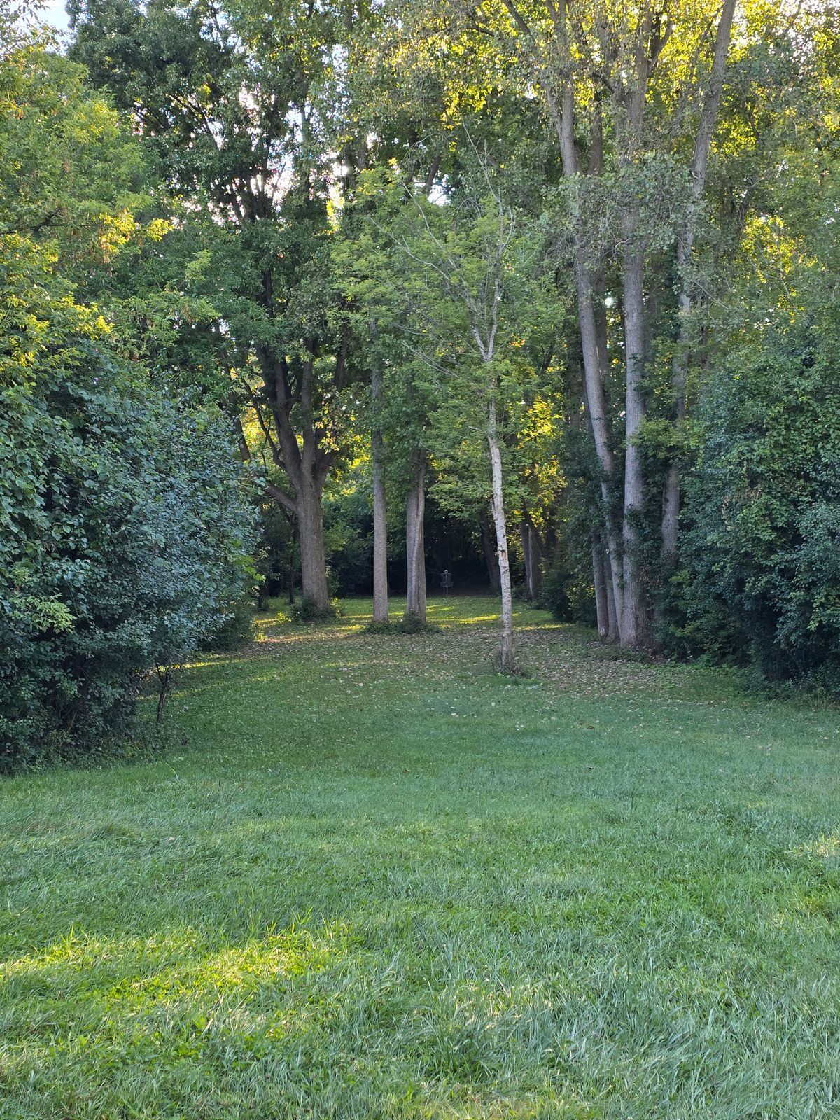 From the red tee on hole 8