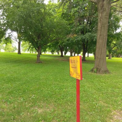 Hole #6
