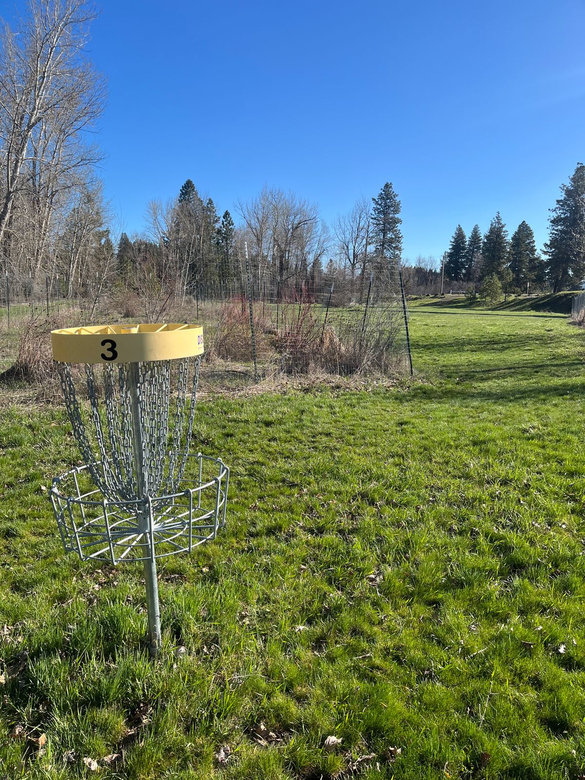 Looking back to the tee pad