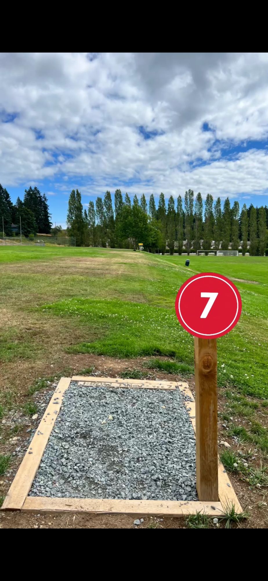 Basket located behind the big tree PAR4