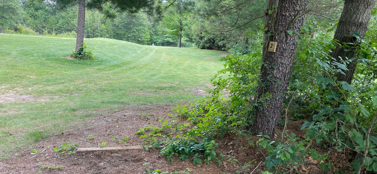 Tee 3