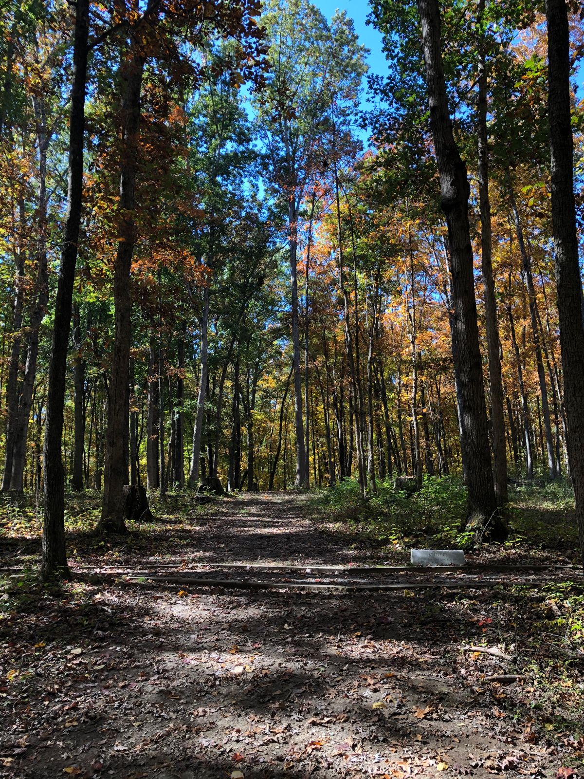Hole 1