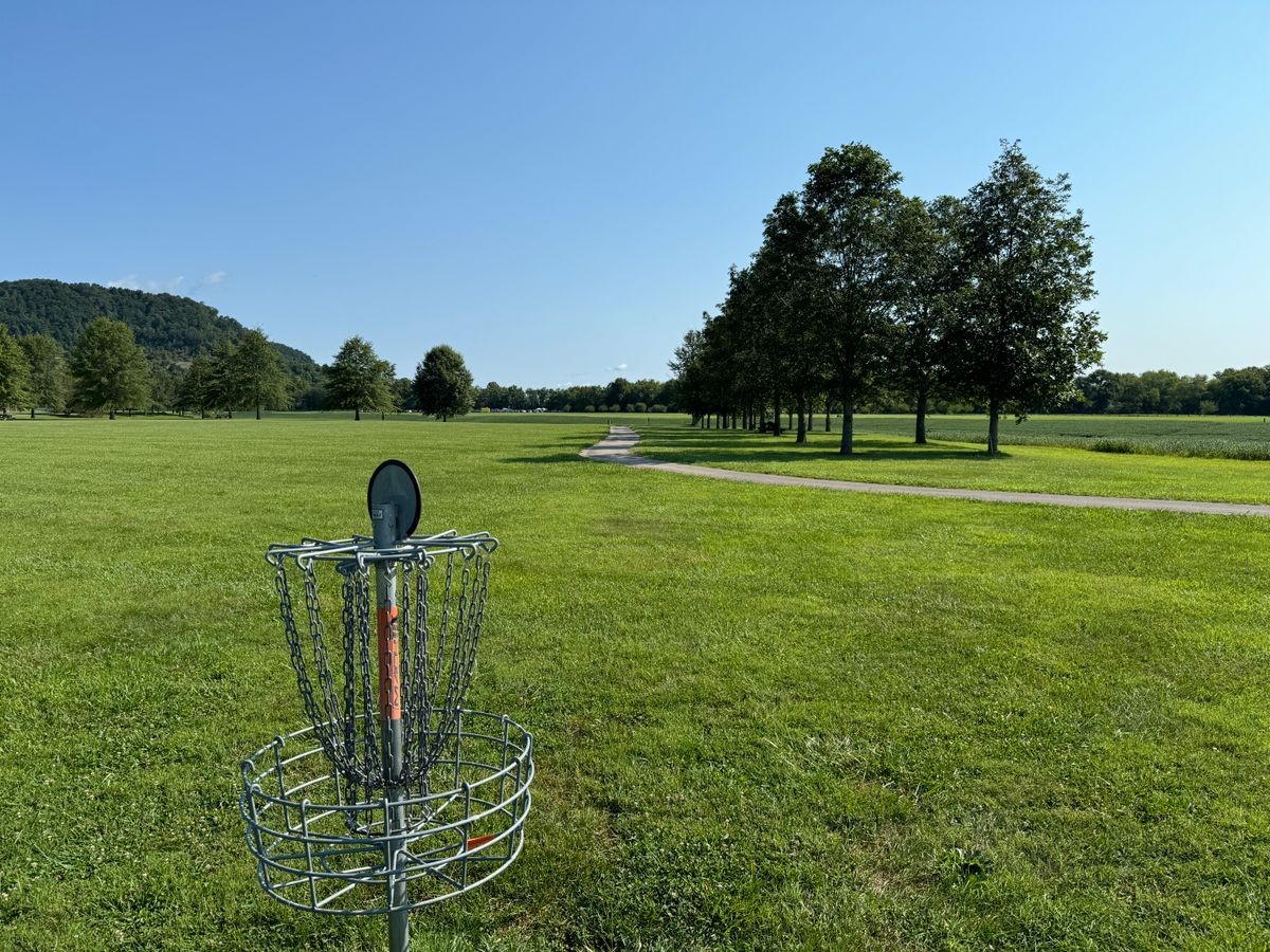 Hole 2 Basket to Tee