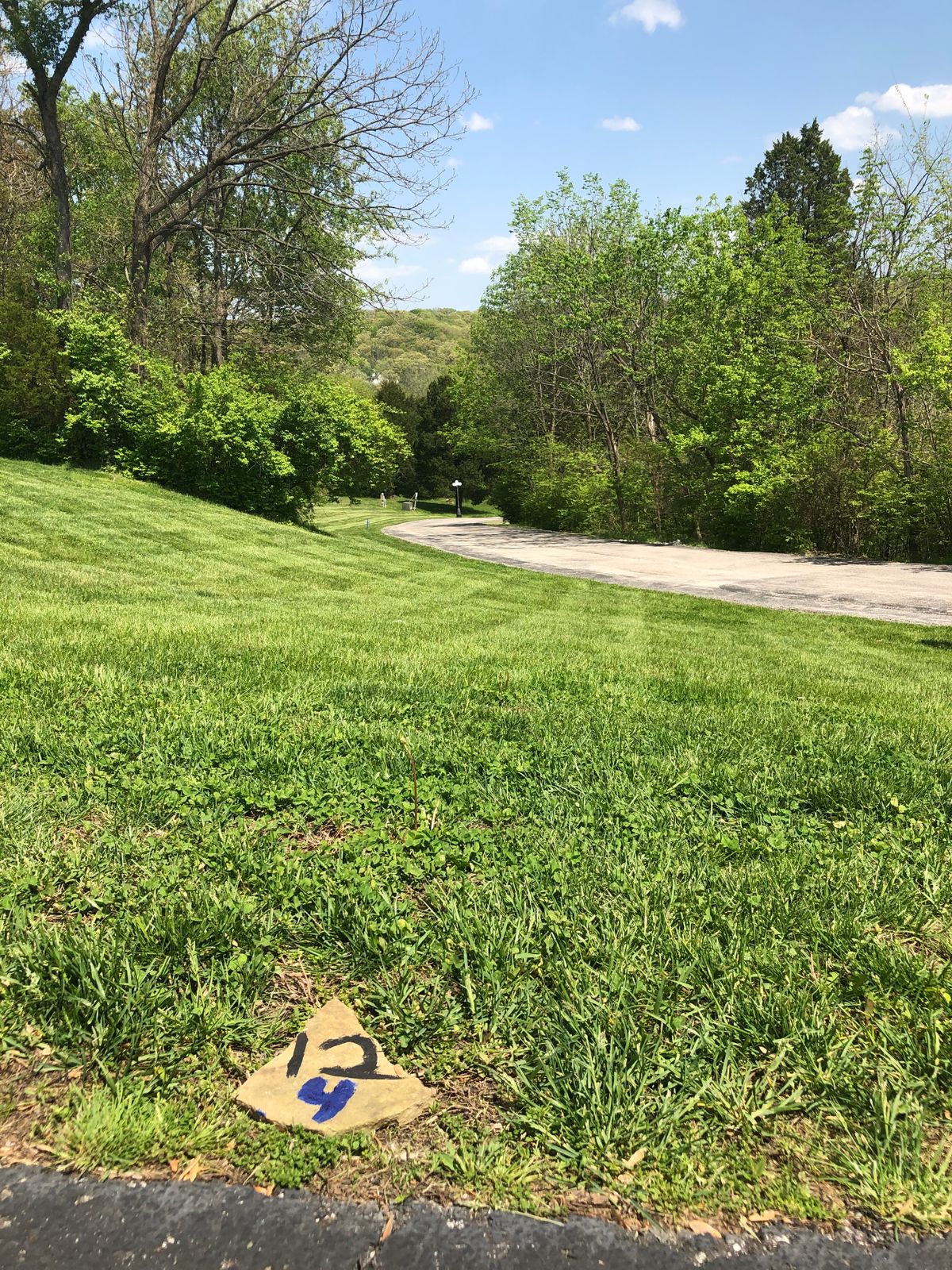 Huge down hill shot, par 4, behind big pine.
