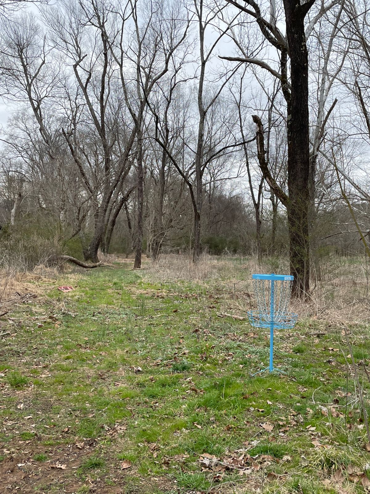 Hole 8’s view from basket to tee pad