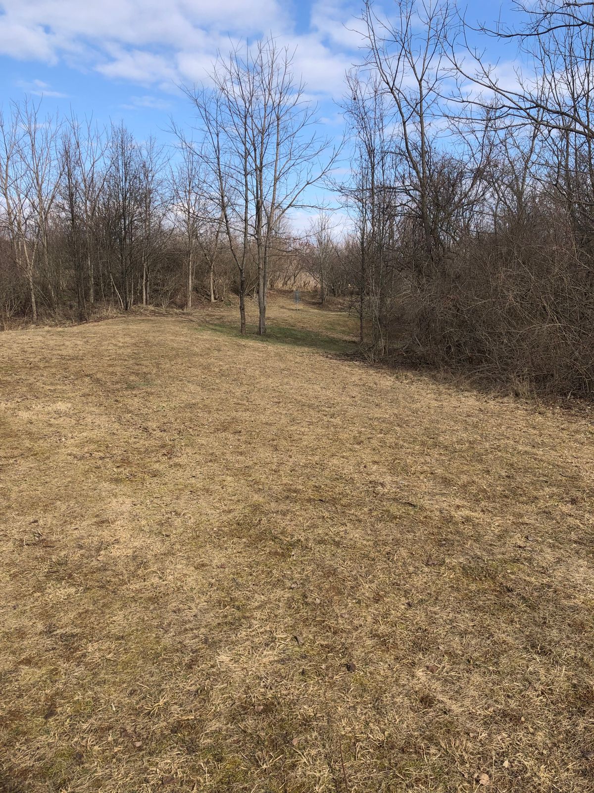 View of basket from dogleg
