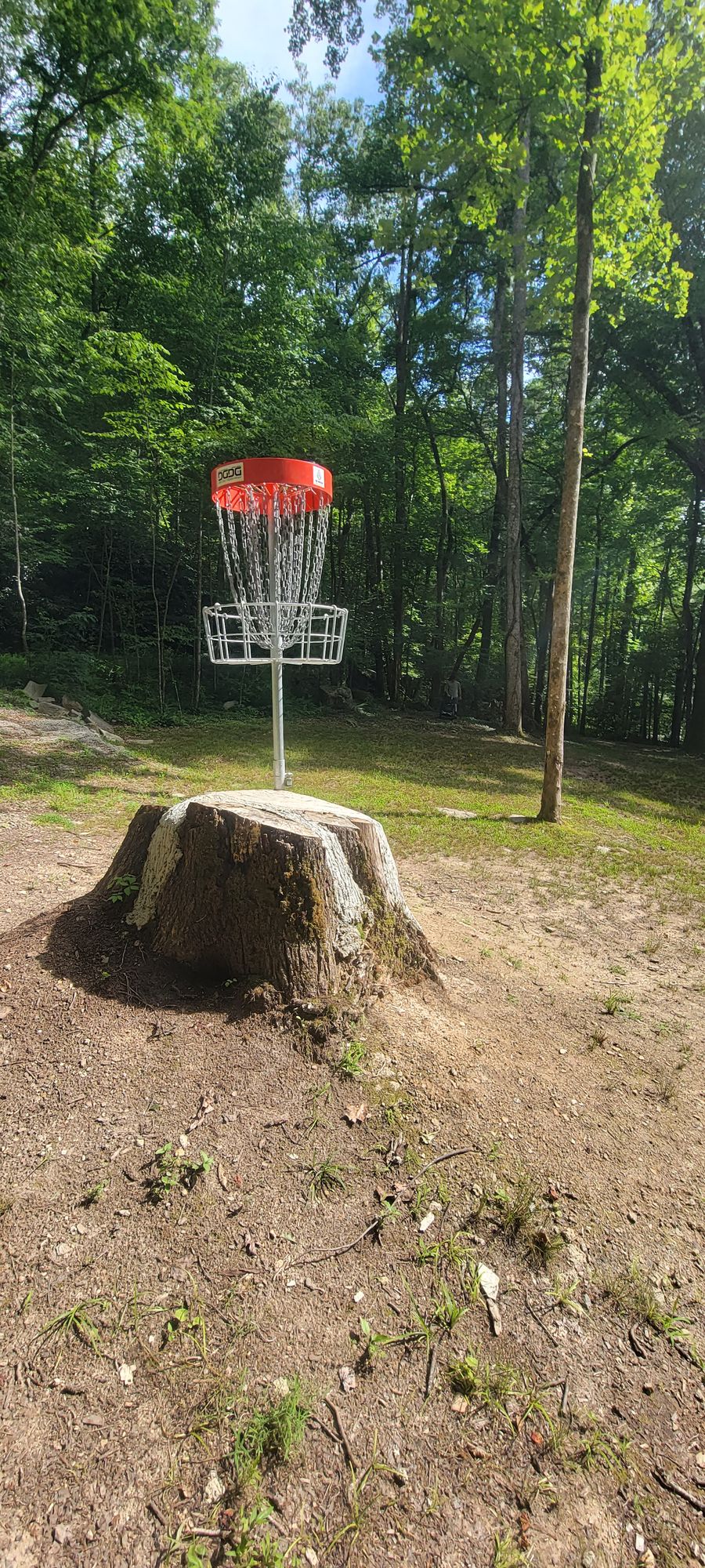 Prettiest, most natural course of the 25 or so I've played