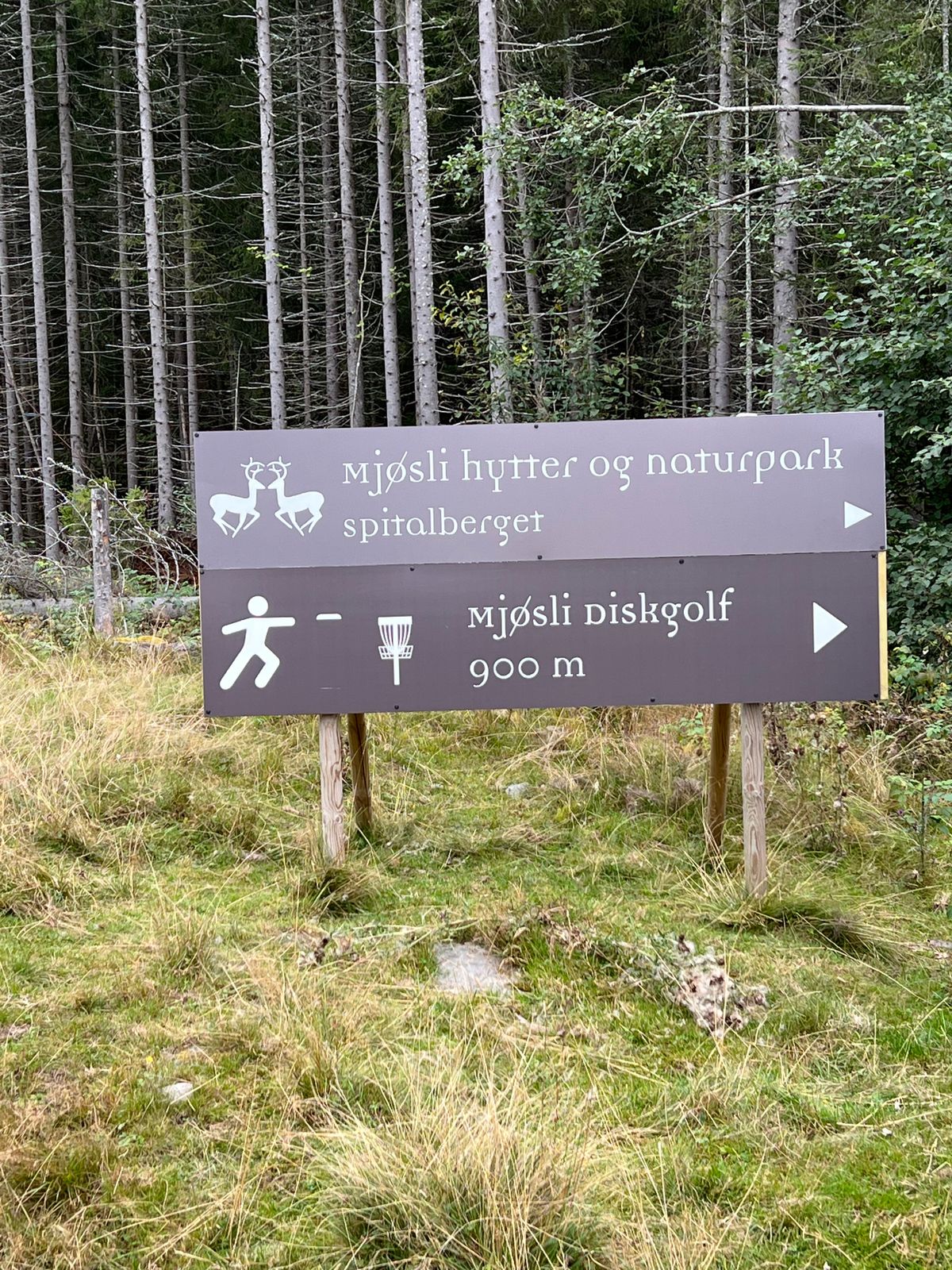 Innkjøring 400 meter fra avkjøring 60 E6