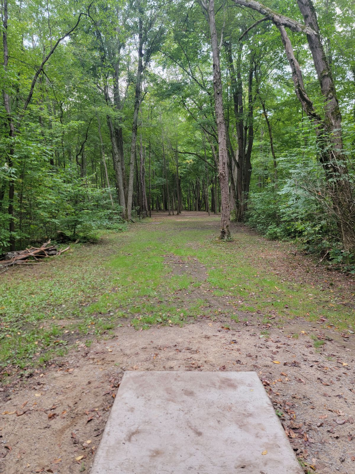 Hole 2 Teepad View 