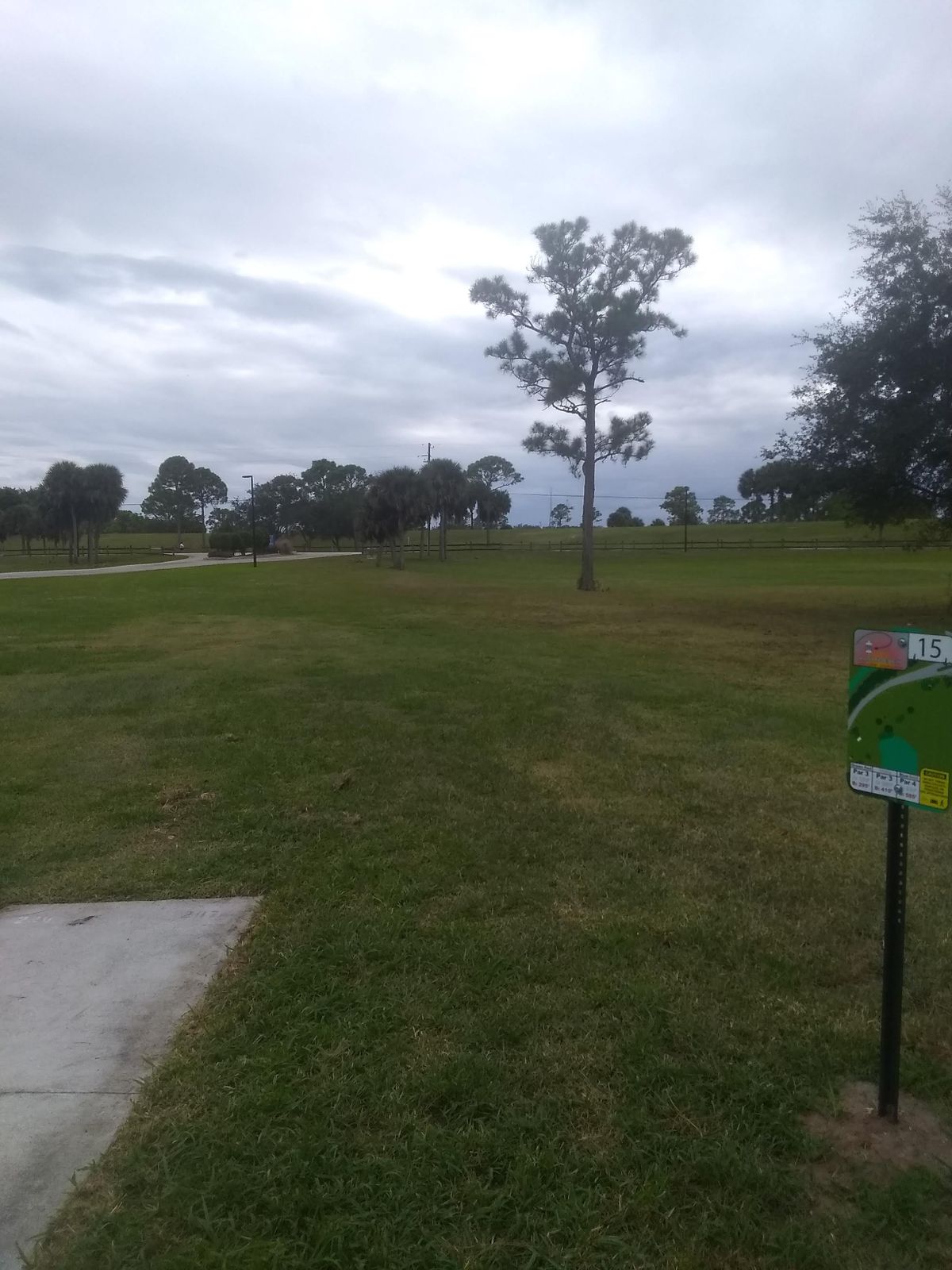 Red pad #15.  With road and OB on left the smart money is on a shot that cheats right of the trees near the basket.