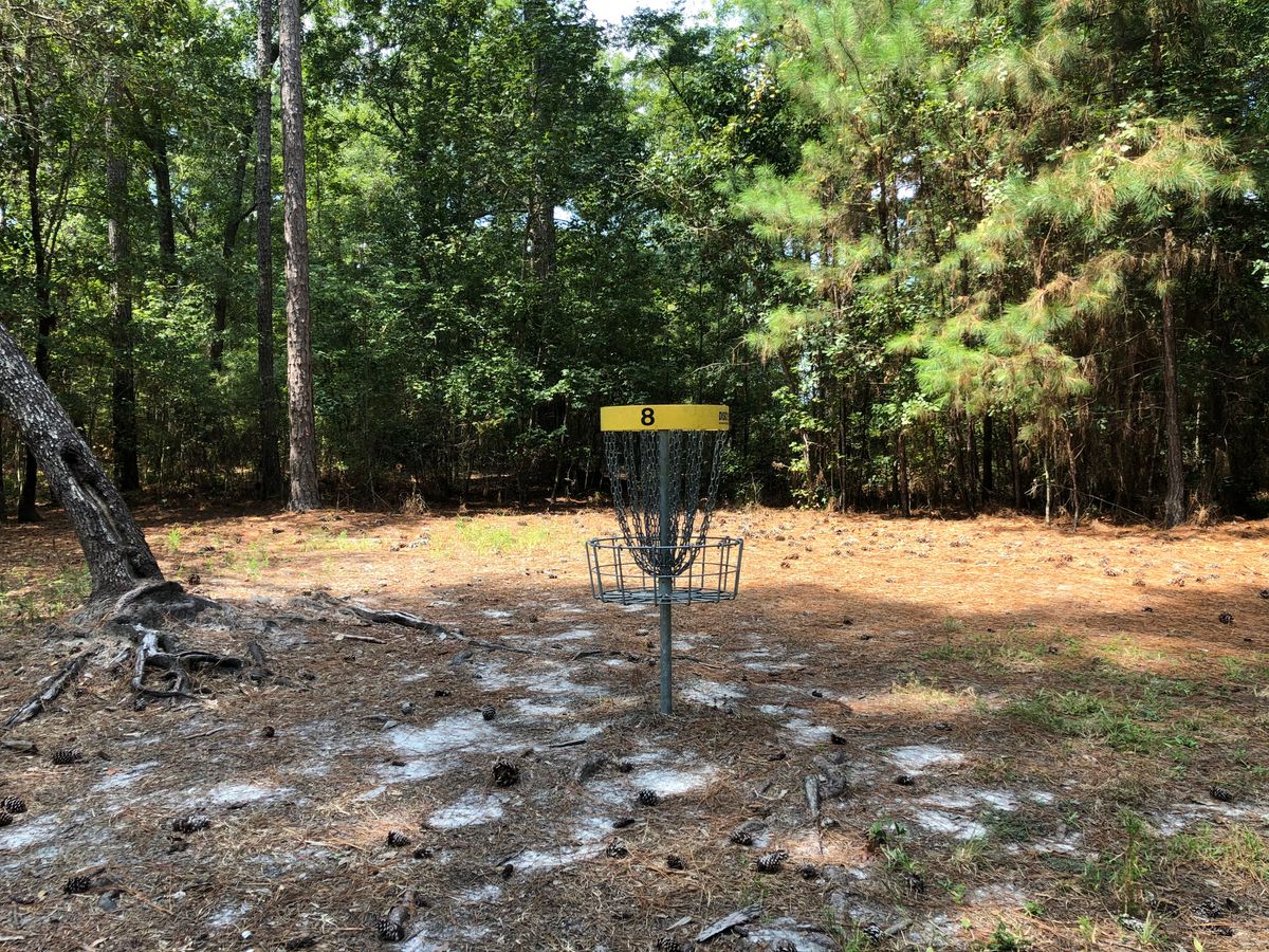 Hole 8