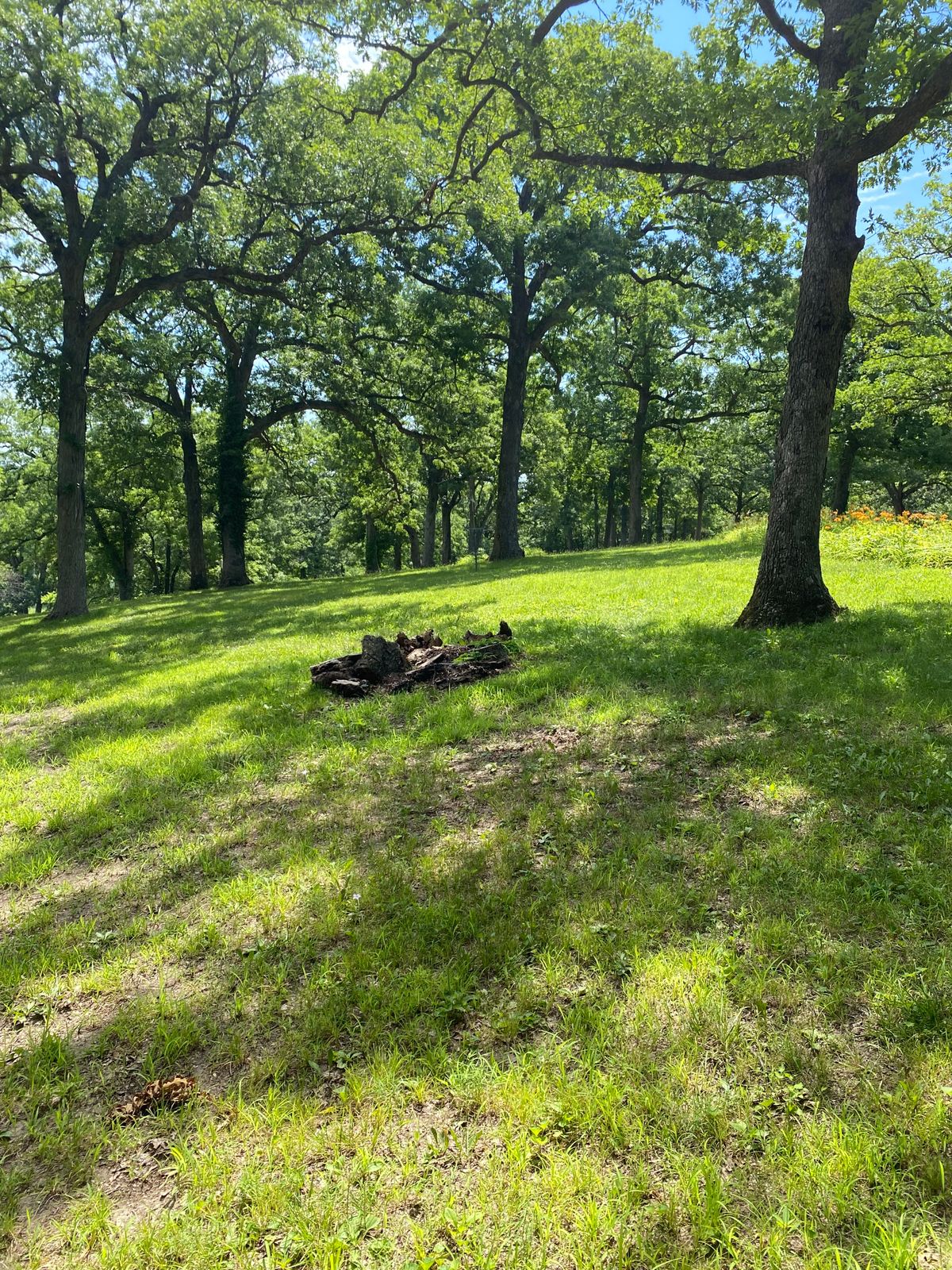 Hole 16 Mid-Fairway