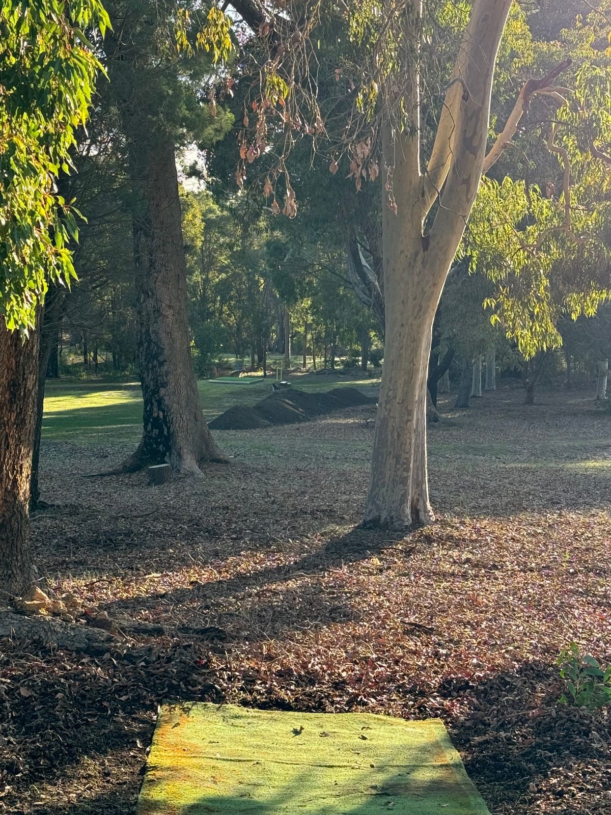 Hole 15 Orange