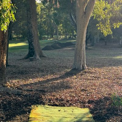 Hole 15 Orange