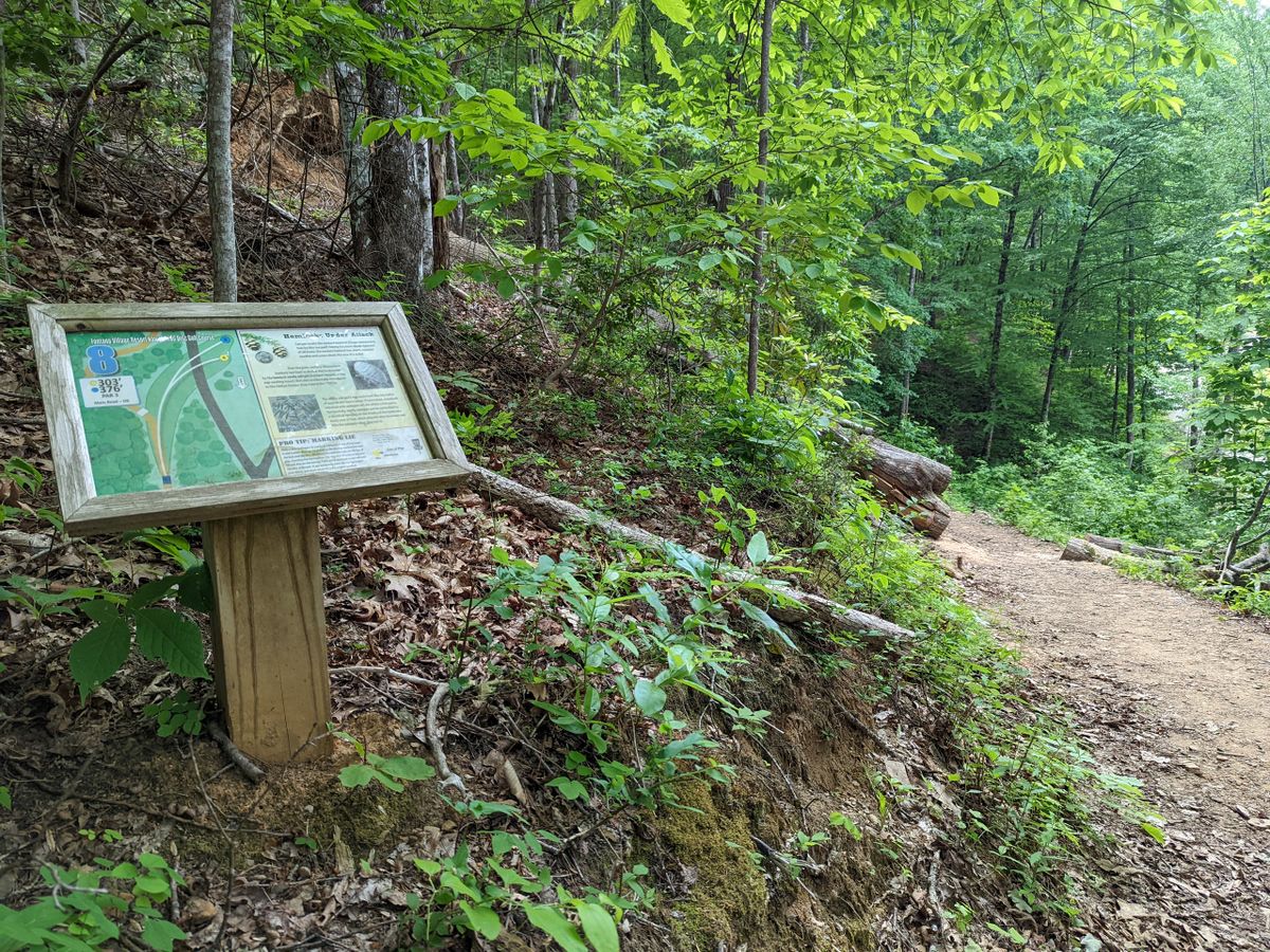 Hole 8, with trees to knock you into poison ivy hillsides.
