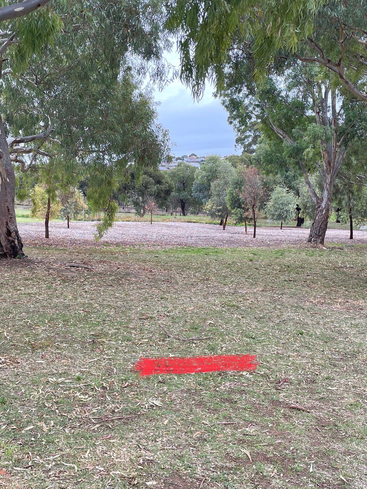 Hole 8 tee. Play is to basket 4