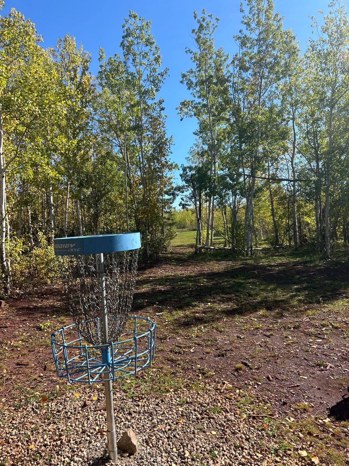 Hole 4 basket area