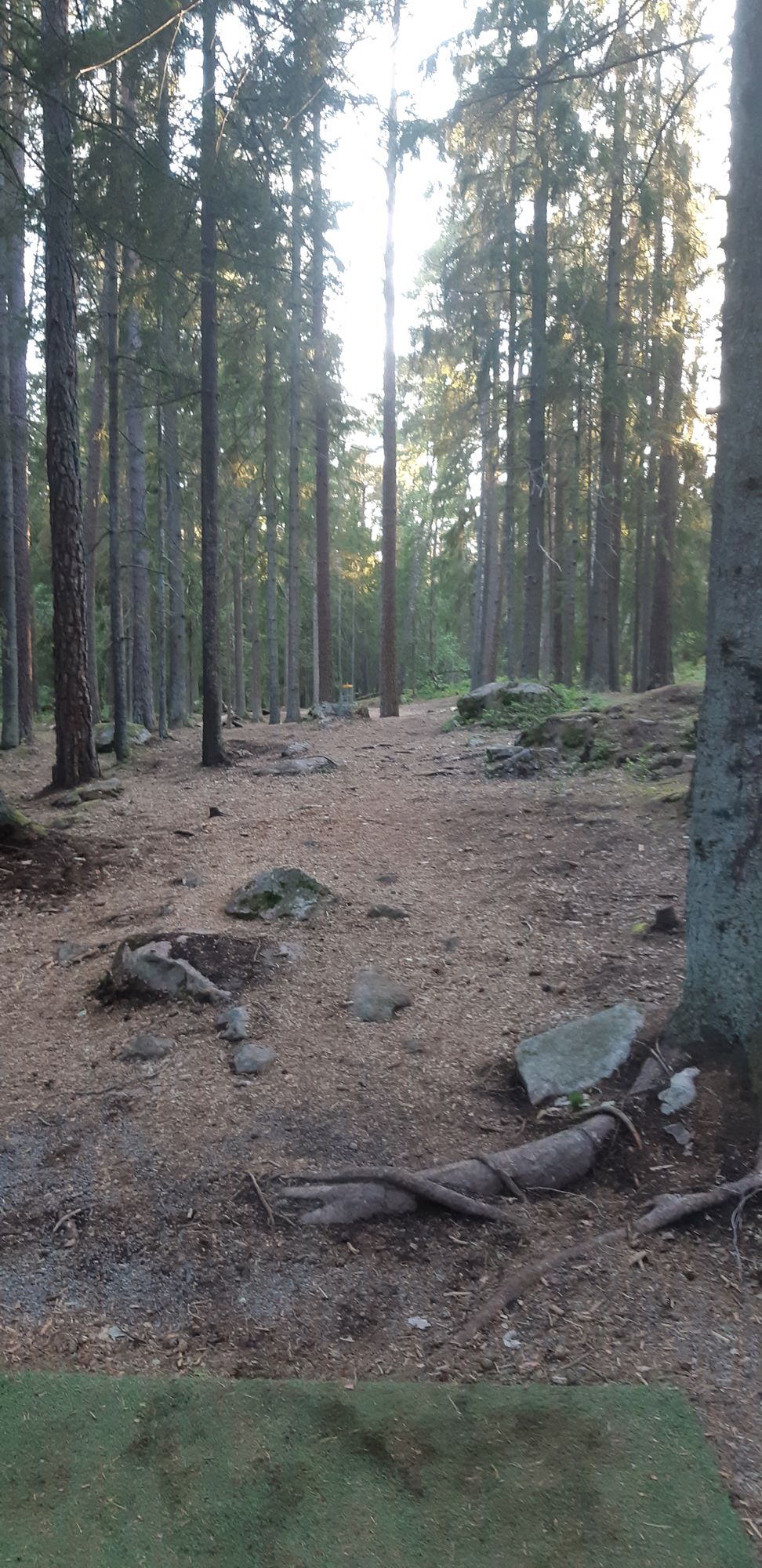 Hole 3