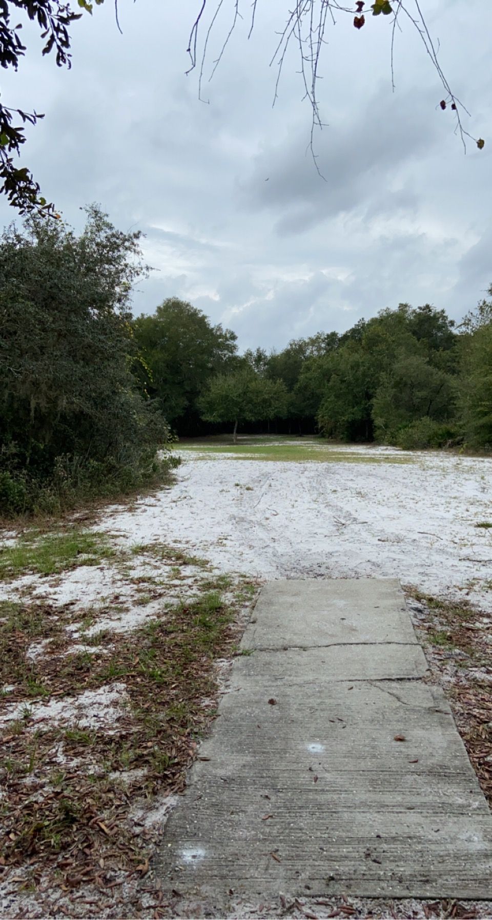 Hole 7