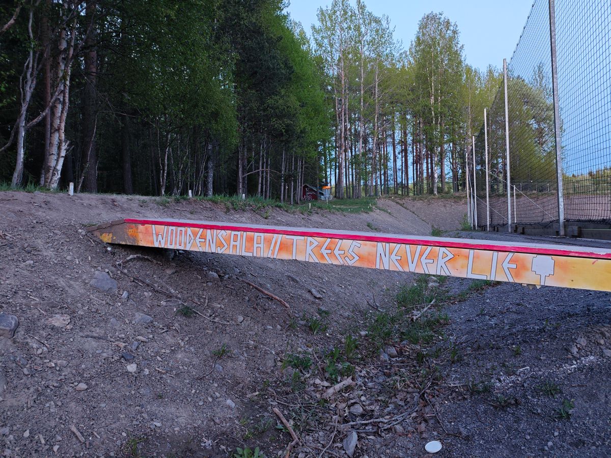 Bron över diket på hål 15, Trees Never Lie