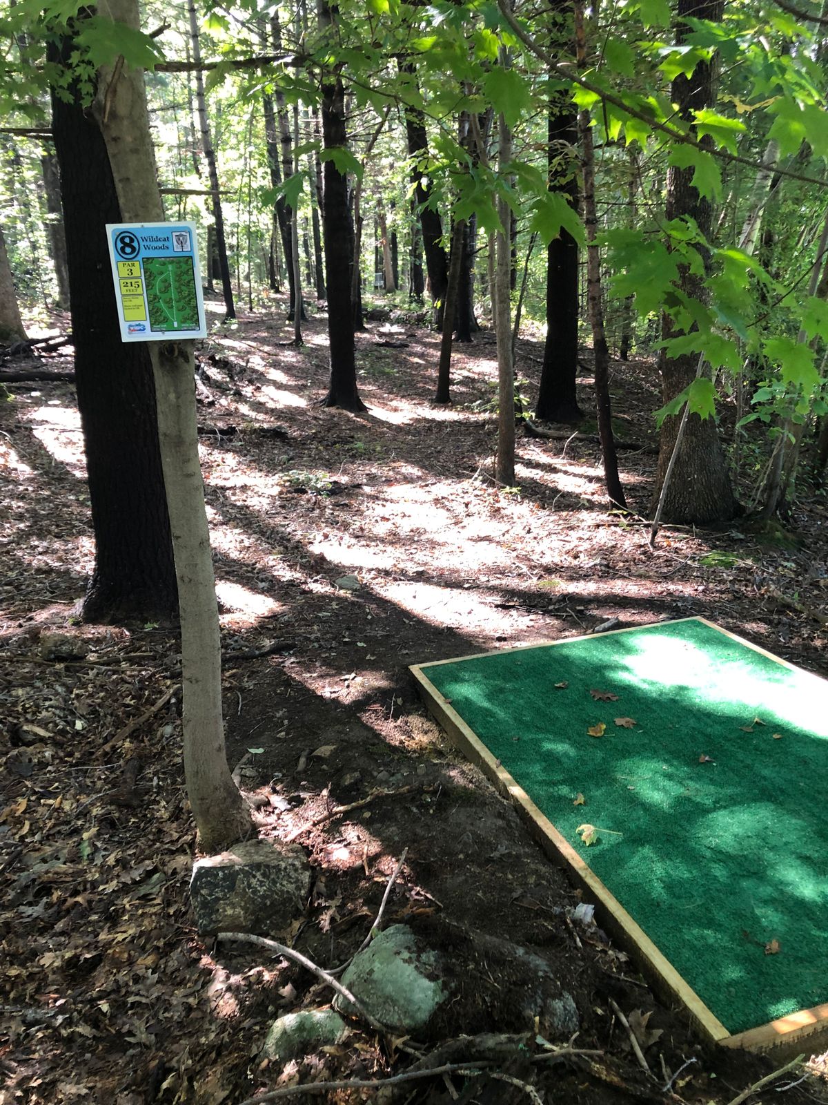 Hole 8 Tee