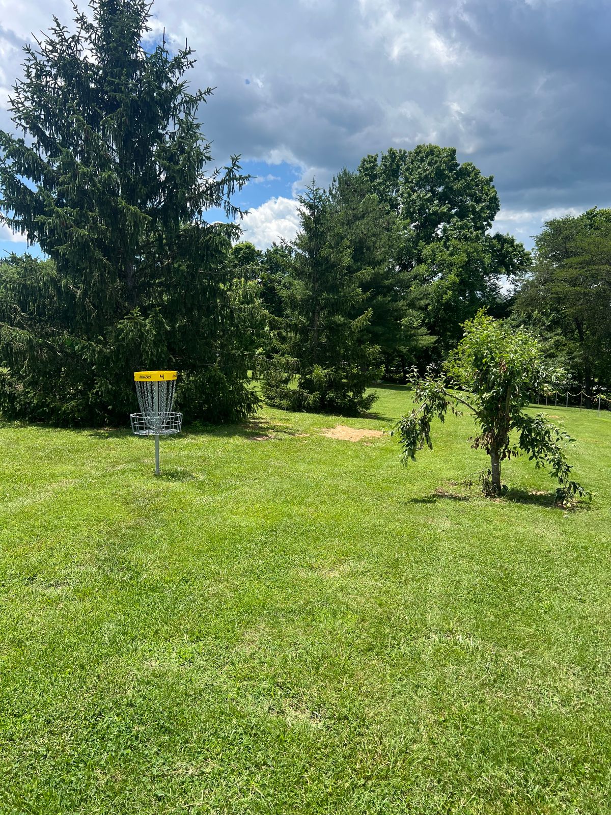 Hole #4 Behind Basket